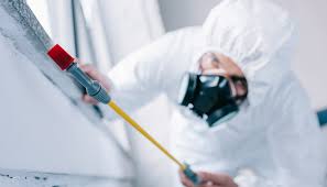 Best Residential Pest Control  in Brimfield, OH